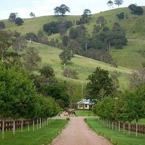 Meet your Posher, Perez